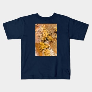 Yellow Sea Weed Growing In Shallow Rock Pool Kids T-Shirt